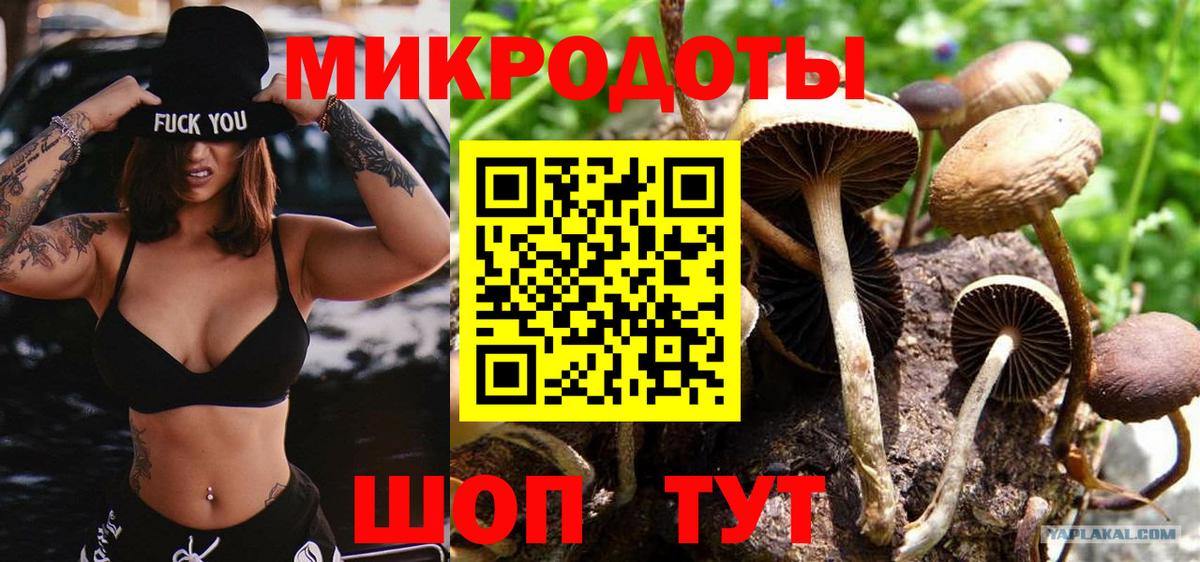 Псилоцибиновые грибы Psilocybine cubensis  Галлюциногенные грибы мицелий  Елизово  Вход с VPN 