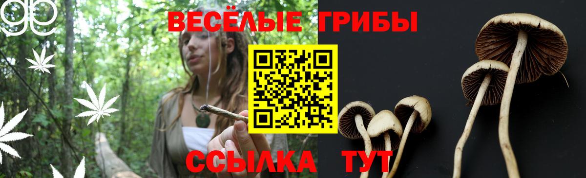 Галлюциногенные грибы мухоморы Елизово